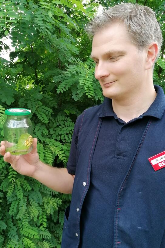 In einem Bananenkarton aus Panama reiste der Frosch in den Rewe-Markt von Wolfgang Leuzinger nach Eggenfelden.