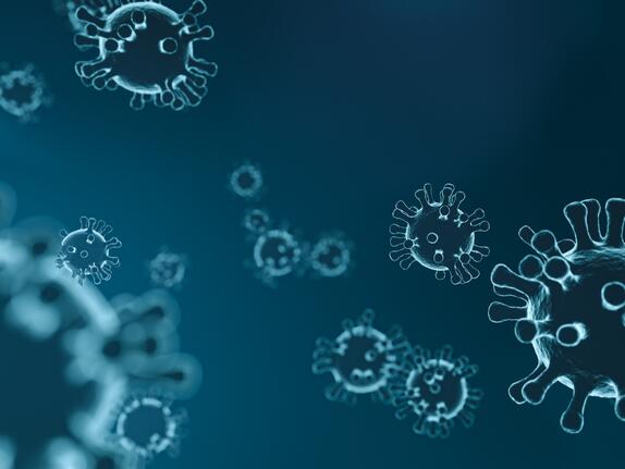 Corona-Virus und Arbeitsrecht: Was Arbeitgeber wissen müssen