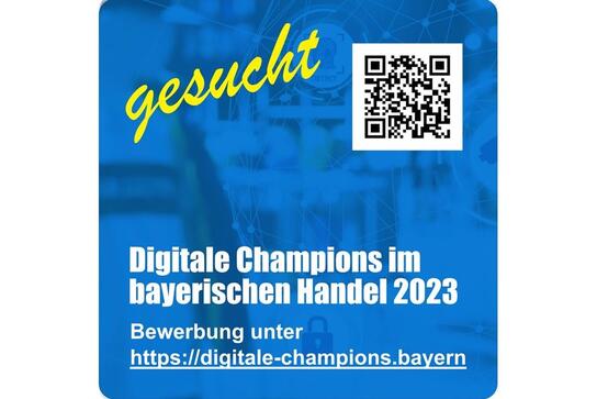 Digitale Champions