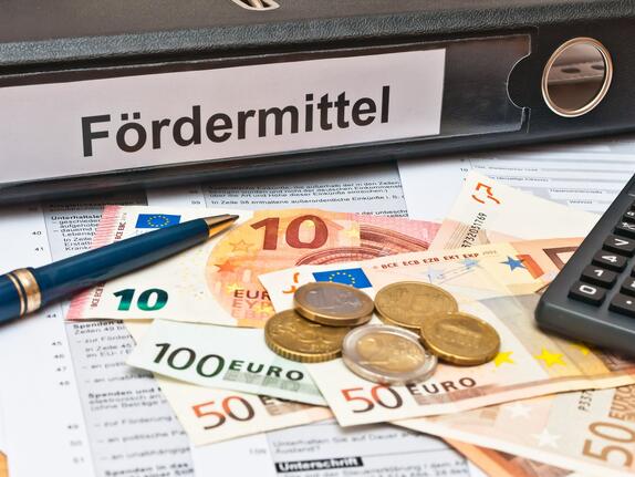 Staatliche Programme erfolgreich nutzen: Wege durch den Förderdschungel