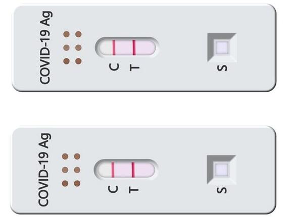 Inzidenz über 200: Behörden können Corona-Tests von Mitarbeitern anordnen