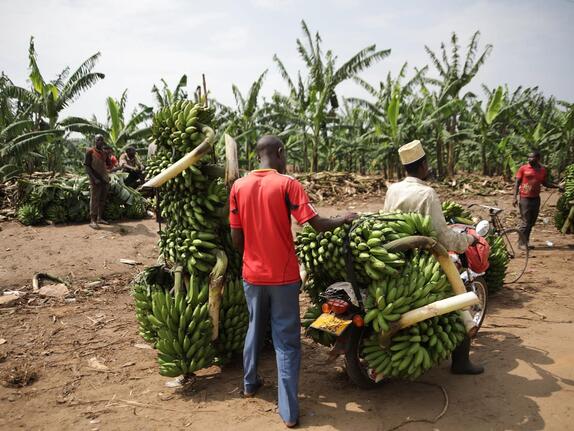 Startschuss für Branchendialog Lebensmittel: Einzelhandel bringt sich für Nachhaltigkeit und Menschenrechte ein