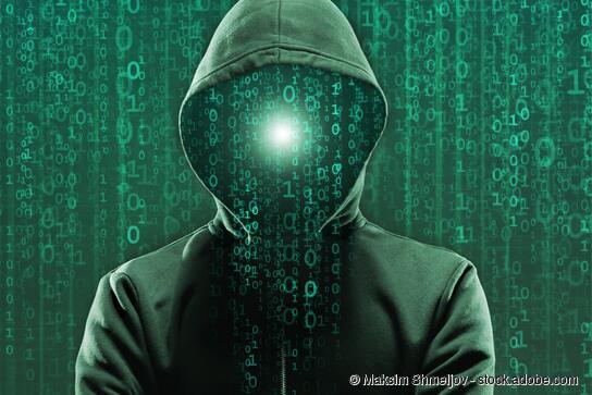 Cyber-Krimminalität